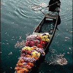 kashmir-boat